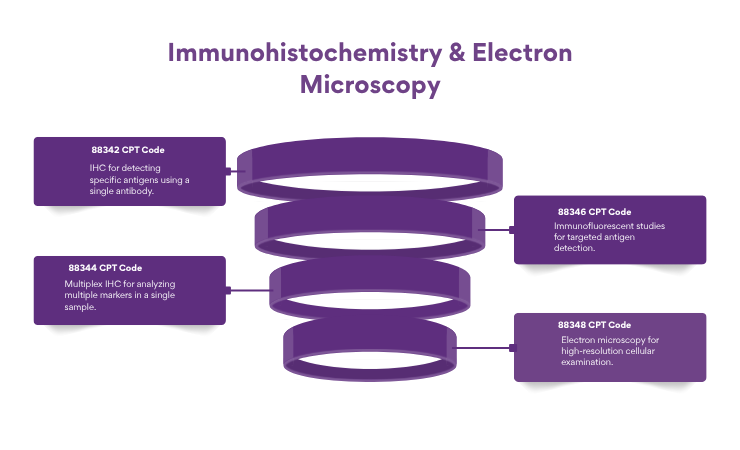 immunohistochemistry & electron microscopy(1)